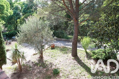 /international/fr/lodeve-languedoc-roussillon-310108512458/