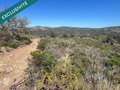 /international/fr/estagel-languedoc-roussillon-310107563808/