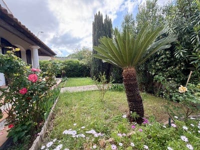/international/fr/lunel-languedoc-roussillon-310108428966/
