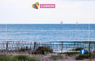 /international/fr/mauguio-carnon-occitanie-310098553563/?lang=en