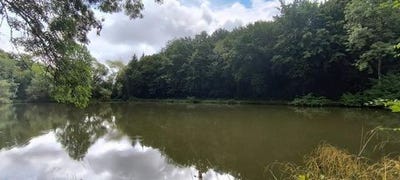 /international/fr/saint-eliph-centre-val-de-loire-310101391499/