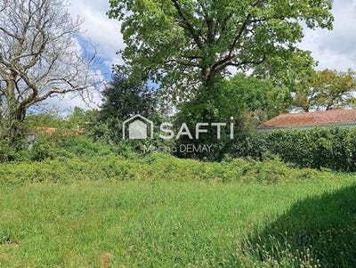 /international/fr/martinet-pays-de-la-loire-310098879341/