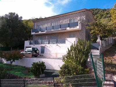 /international/fr/osani-corsica-310103278280/