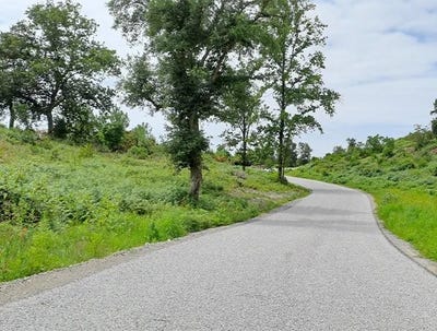 /international/fr/rue-des-arbousiers-labenne-aquitaine-310104131259/