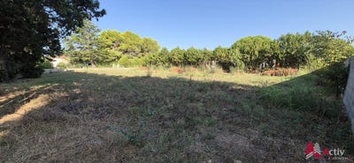 /international/fr/arles-provence-alpes-cote-d-azur-310110054555/