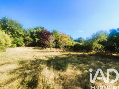 /international/fr/montauban-midi-pyrenees-310107358117/