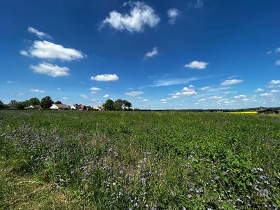 /international/fr/septeuil-ile-de-france-310103429536/