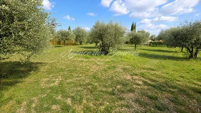 /international/fr/tavernes-provence-alpes-cote-d-azur-310107252108/