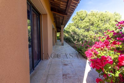 /international/fr/figari-corsica-310107839801/