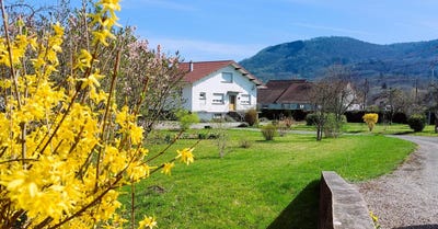 /international/fr/melisey-franche-comte-310100609503/
