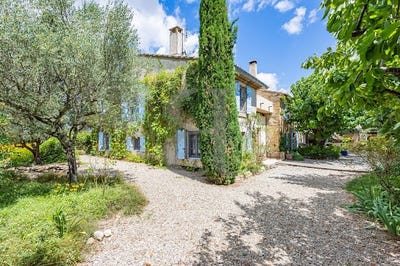 /international/fr/sainte-cecile-les-vignes-provence-alpes-cote-d-azur-310101277717/