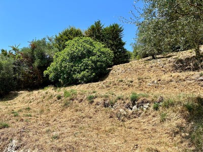 /international/fr/falicon-provence-alpes-cote-d-azur-310100699142/