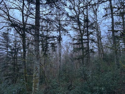 /international/fr/vebret-auvergne-310107760155/