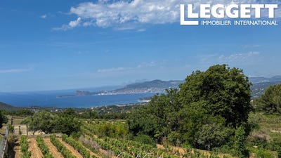 /international/fr/la-cadiere-d-azur-provence-alpes-cote-d-azur-310100003697/