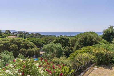 /international/fr/cavalaire-sur-mer-provence-alpes-cote-d-azur-310101061610/