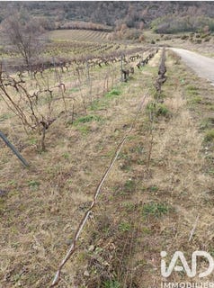 /international/fr/caramany-languedoc-roussillon-310107322356/