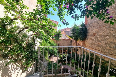 /international/fr/elne-languedoc-roussillon-310106606756/