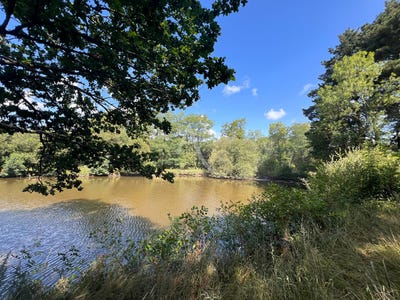 /international/fr/beaulieu-sous-la-roche-pays-de-la-loire-310104462966/