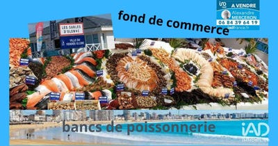 /international/fr/les-sables-d-olonne-pays-de-la-loire-310107903449/