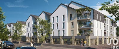 /international/fr/chalonnes-sur-loire-pays-de-la-loire-310097767142/