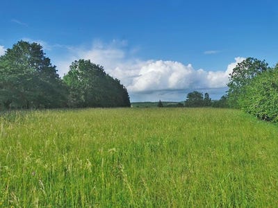 /international/fr/la-cassagne-aquitaine-310100785545/
