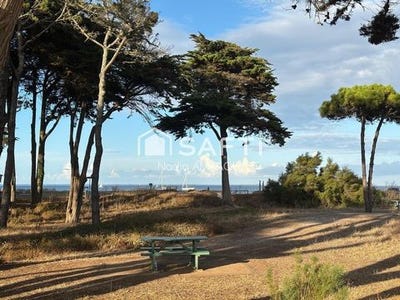/international/fr/quiberon-brittany-310119789462/