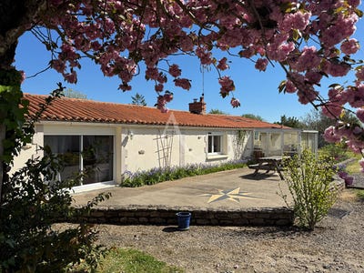 /international/fr/vouille-les-marais-pays-de-la-loire-310107090941/