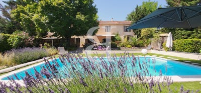 /international/fr/carpentras-provence-alpes-cote-d-azur-310108763770/