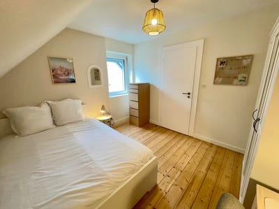 /international/fr/rue-de-sarrebourg-schiltigheim-alsace-310093860880/