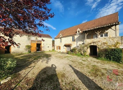 /international/fr/catus-midi-pyrenees-310105774703/