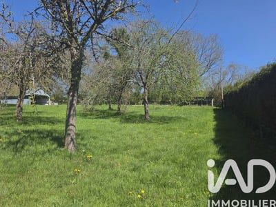 /international/fr/roucamps-upper-normandy-310107008283/