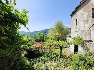/international/fr/saint-martin-de-lansuscle-languedoc-roussillon-310100386972/