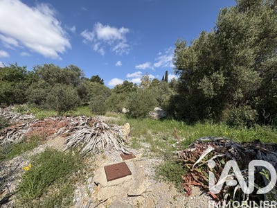 /international/fr/la-palme-languedoc-roussillon-310106794550/