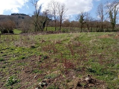 /international/fr/ferrieres-sur-sichon-auvergne-310106463769/