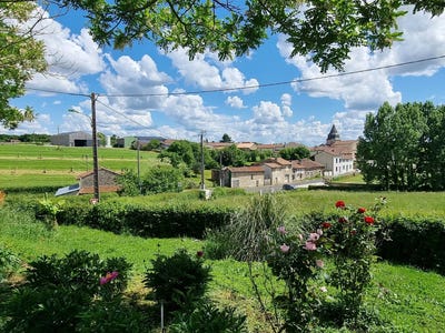 /international/fr/genouille-charente-310120033476/