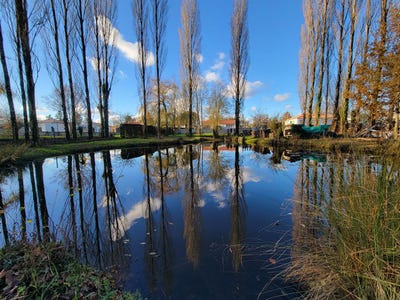 /international/fr/lege-pays-de-la-loire-310108725760/