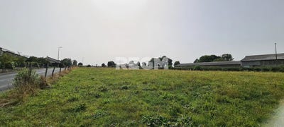 /international/fr/olby-auvergne-310108788502/