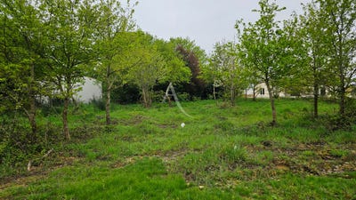 /international/fr/port-des-barques-charente-310104471313/