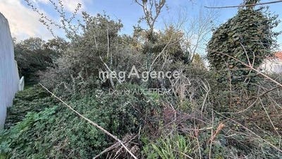 /international/fr/l-ile-d-yeu-pays-de-la-loire-310104064376/