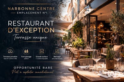 /international/fr/narbonne-languedoc-roussillon-310106575387/