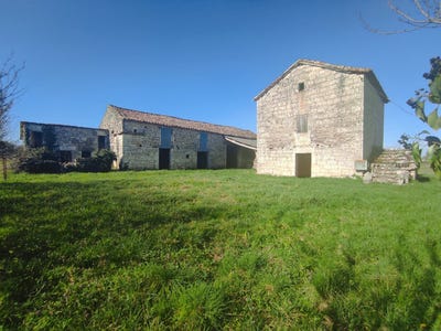 /international/fr/lalbenque-midi-pyrenees-310105969070/
