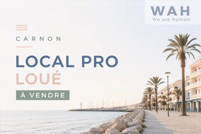 /international/fr/mauguio-languedoc-roussillon-310109048255/