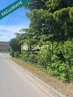 /international/fr/pithiviers-centre-val-de-loire-310107621386/