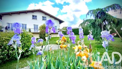 /international/fr/dole-franche-comte-310108112124/