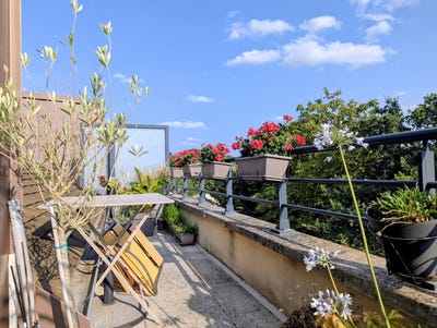 /international/fr/rambouillet-ile-de-france-310109745610/