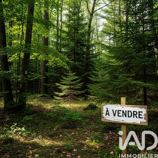 /international/fr/arsac-aquitaine-310106854370/