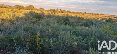 /international/fr/la-palme-languedoc-roussillon-310104042799/