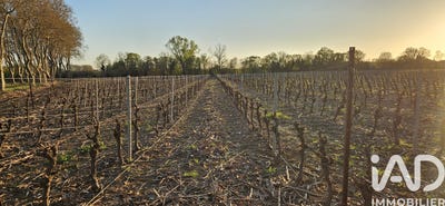 /international/fr/usclas-d-herault-languedoc-roussillon-310108209796/