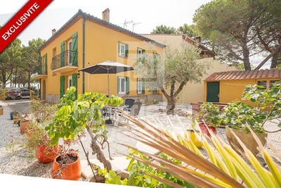 /international/fr/argeles-sur-mer-languedoc-roussillon-310100787074/
