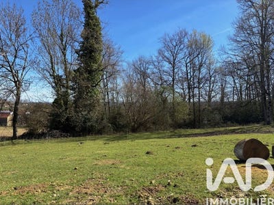 /international/fr/angos-midi-pyrenees-310107675344/